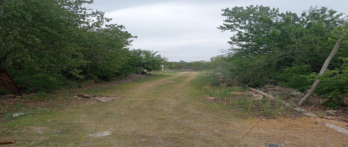 Foto de terreno habitacional en venta en  , el mirador, zihuatanejo de azueta, guerrero, 0 No. 05