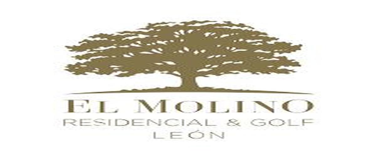 Foto de terreno habitacional en venta en  , el molino, león, guanajuato, 27825944 No. 04