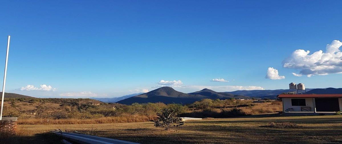 Foto de terreno habitacional en el monte , el mogote, pilcaya, guerrero, 30690760 foto 01 Foto de terreno habitacional en venta en el monte , el mogote, pilcaya, guerrero, 30690760 No. 01