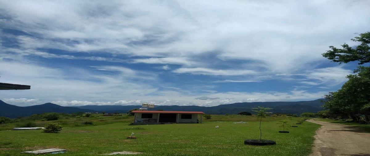 Foto de terreno habitacional en el monte , el mogote, pilcaya, guerrero, 30690760 foto 04 Foto de terreno habitacional en venta en el monte , el mogote, pilcaya, guerrero, 30690760 No. 04
