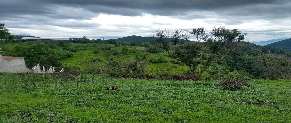 Foto de terreno habitacional en el monte , el mogote, pilcaya, guerrero, 30690760 foto 05 Foto de terreno habitacional en venta en el monte , el mogote, pilcaya, guerrero, 30690760 No. 05