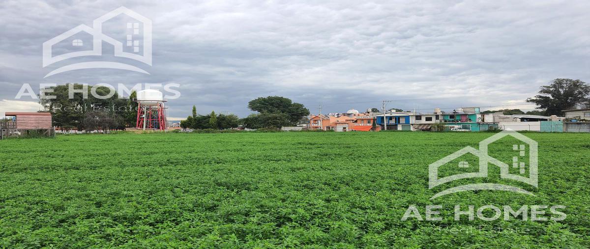 Foto de terreno habitacional en venta en  , el moral, san martín texmelucan, puebla, 0 No. 05