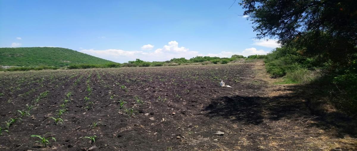 Foto de terreno comercial en el nabo , el nabo, querétaro, querétaro, 8230763 foto 03 Foto de terreno comercial en venta en el nabo , el nabo, querétaro, querétaro, 8230763 No. 03