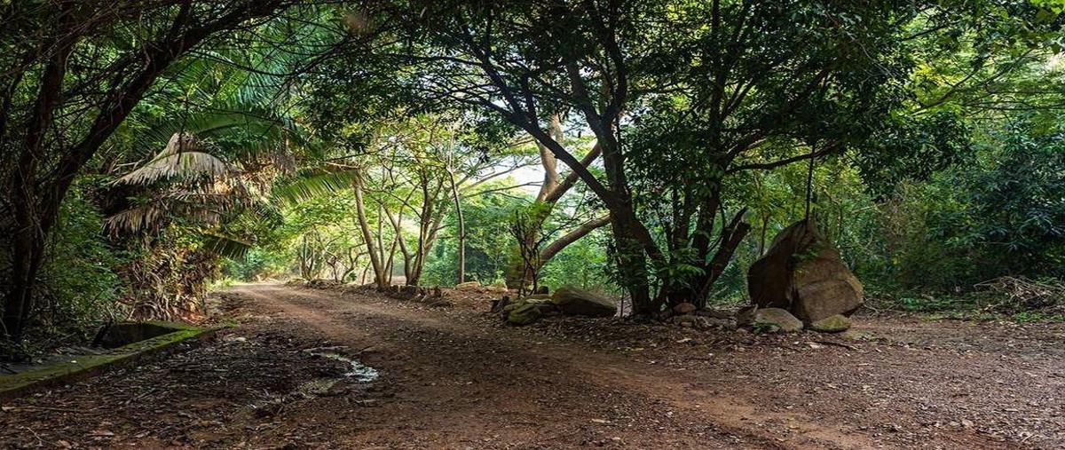 Foto de terreno habitacional en venta en  , el naranjo, manzanillo, colima, 0 No. 05
