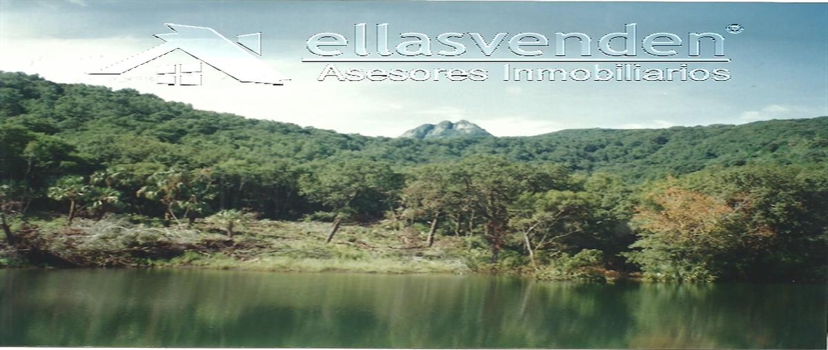 Foto de terreno habitacional en venta en el nogalito 101, tamaulipas, victoria, tamaulipas, 30052442 No. 03