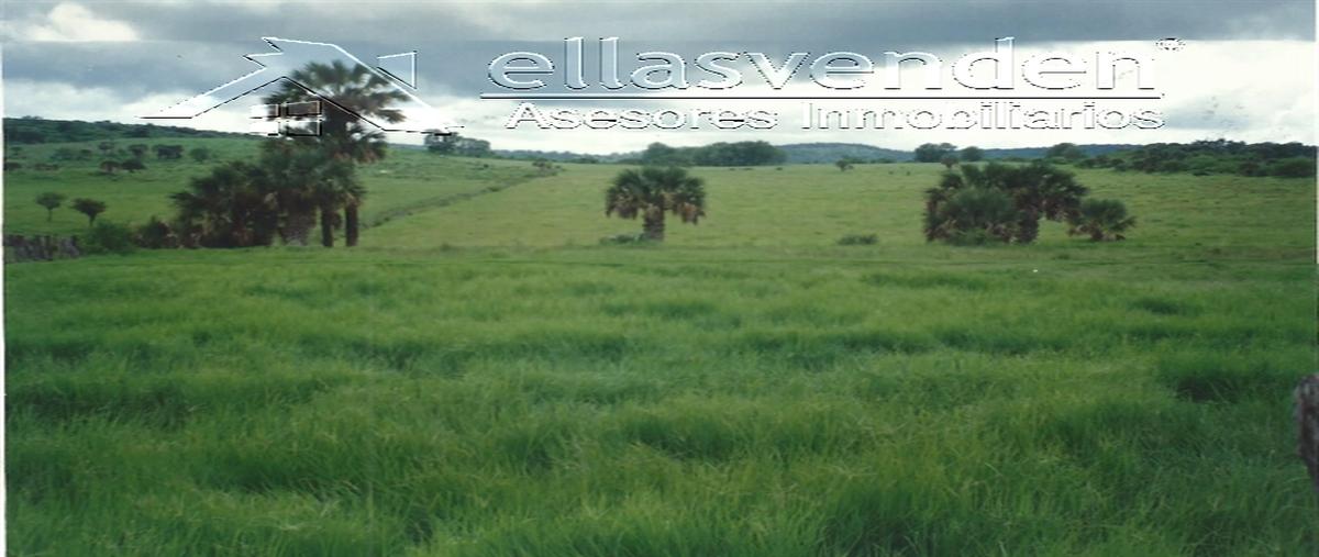 Foto de terreno habitacional en venta en el nogalito 101, tamaulipas, victoria, tamaulipas, 30052442 No. 04
