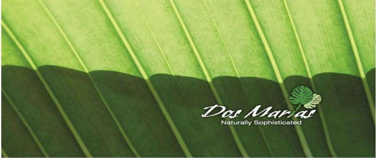 Foto de terreno habitacional en , el nogalito, puerto vallarta, jalisco, 0 foto 02 Foto de terreno habitacional en venta en , el nogalito, puerto vallarta, jalisco, 0 No. 02