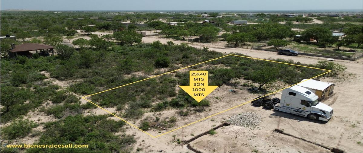 Foto de terreno habitacional en venta en  , el oasis, piedras negras, coahuila de zaragoza, 0 No. 03