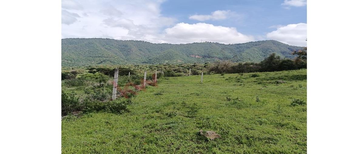 Foto de terreno habitacional en venta en el ocote , san guillermo, malinalco, méxico, 30255615 No. 03