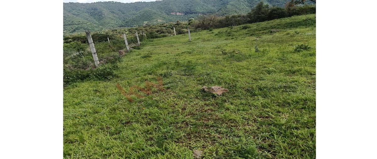 Foto de terreno habitacional en venta en el ocote , san guillermo, malinalco, méxico, 30255615 No. 04