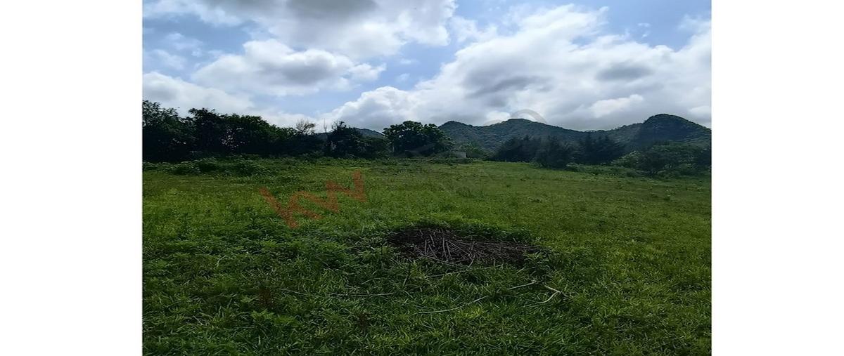 Foto de terreno habitacional en venta en el ocote , san guillermo, malinalco, méxico, 30255615 No. 05