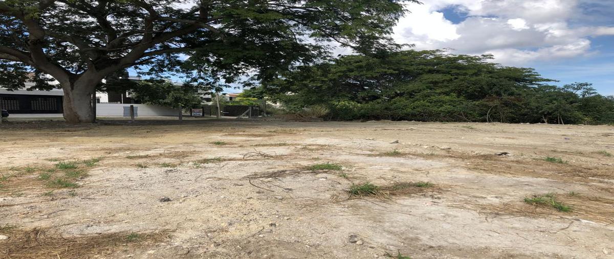 Foto de terreno habitacional en , el ojital, tampico, tamaulipas, 22174587 foto 03 Foto de terreno habitacional en venta en , el ojital, tampico, tamaulipas, 22174587 No. 03