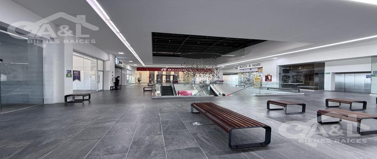 Foto de local en renta en  , el olmo, xalapa, veracruz de ignacio de la llave, 0 No. 03