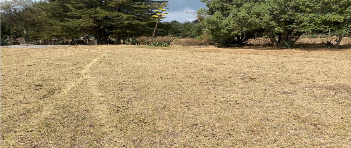 Foto de terreno habitacional en , el oro de hidalgo, el oro, méxico, 26687813 foto 04 Foto de terreno habitacional en venta en , el oro de hidalgo, el oro, méxico, 26687813 No. 04