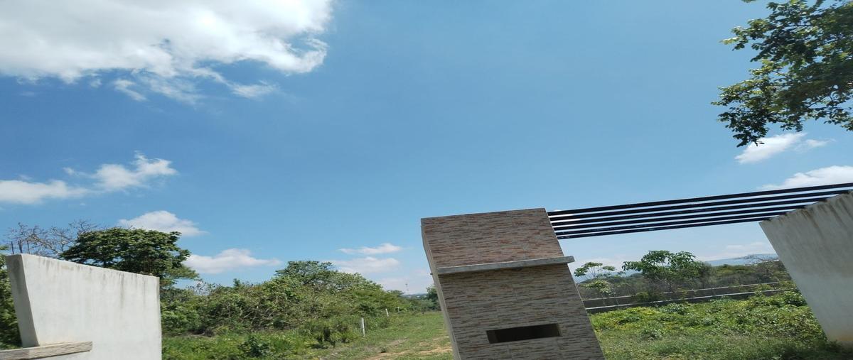 Foto de terreno habitacional en , el palmar, berriozábal, chiapas, 26724479 foto 03 Foto de terreno habitacional en venta en , el palmar, berriozábal, chiapas, 26724479 No. 03