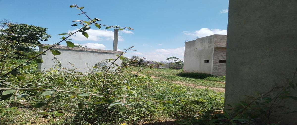 Foto de terreno habitacional en , el palmar, berriozábal, chiapas, 26724479 foto 04 Foto de terreno habitacional en venta en , el palmar, berriozábal, chiapas, 26724479 No. 04