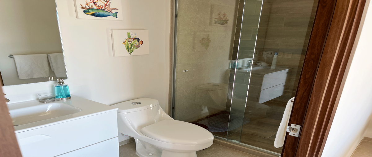 Foto de departamento en renta en  , el palmar de aramara, puerto vallarta, jalisco, 29898003 No. 04