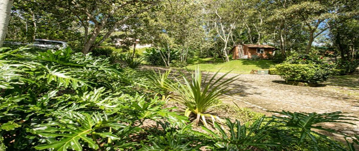 Foto de terreno comercial en , el palmar del progreso, puerto vallarta, jalisco, 27031066 foto 03 Foto de terreno comercial en venta en , el palmar del progreso, puerto vallarta, jalisco, 27031066 No. 03