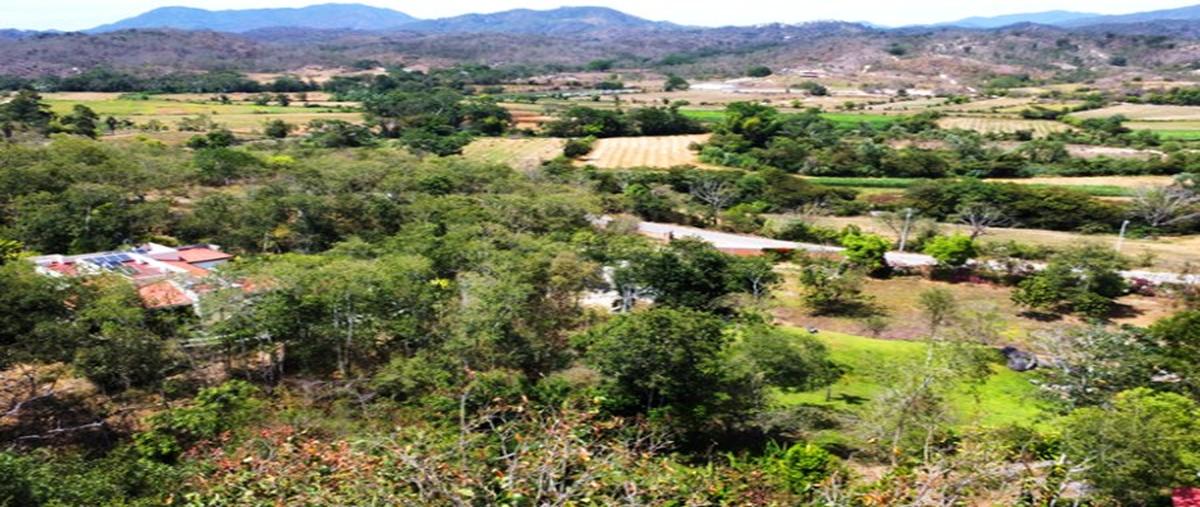 Foto de terreno comercial en , el palmar del progreso, puerto vallarta, jalisco, 28192693 foto 03 Foto de terreno comercial en venta en , el palmar del progreso, puerto vallarta, jalisco, 28192693 No. 03