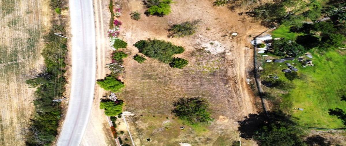 Foto de terreno comercial en venta en  , el palmar del progreso, puerto vallarta, jalisco, 28192838 No. 03