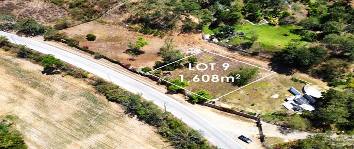 Foto de terreno comercial en venta en  , el palmar del progreso, puerto vallarta, jalisco, 28192838 No. 05