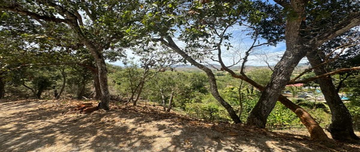 Foto de terreno comercial en , el palmar del progreso, puerto vallarta, jalisco, 28192868 foto 01 Foto de terreno comercial en venta en , el palmar del progreso, puerto vallarta, jalisco, 28192868 No. 01
