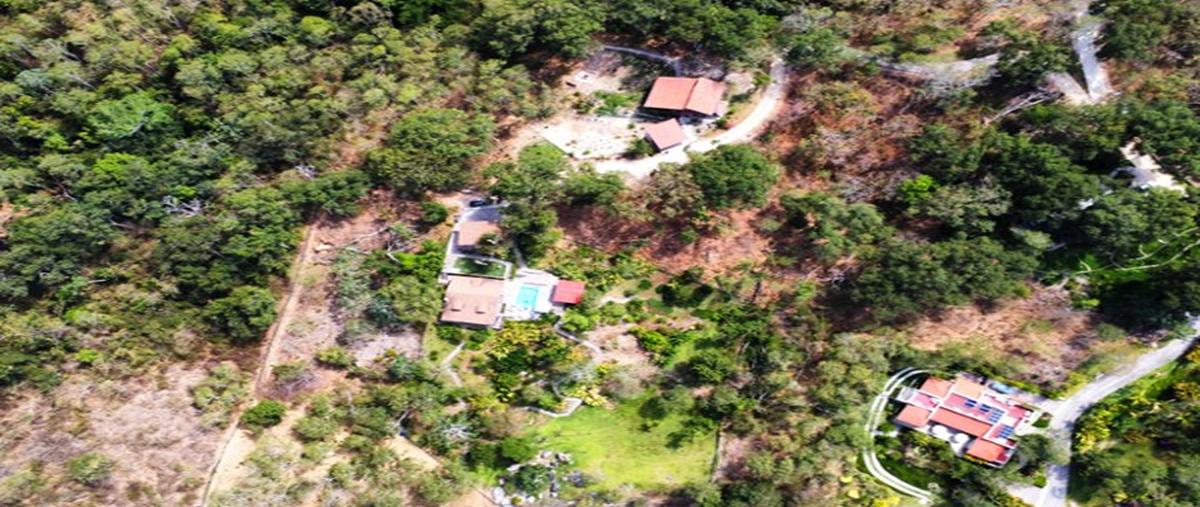 Foto de terreno comercial en , el palmar del progreso, puerto vallarta, jalisco, 28192868 foto 04 Foto de terreno comercial en venta en , el palmar del progreso, puerto vallarta, jalisco, 28192868 No. 04