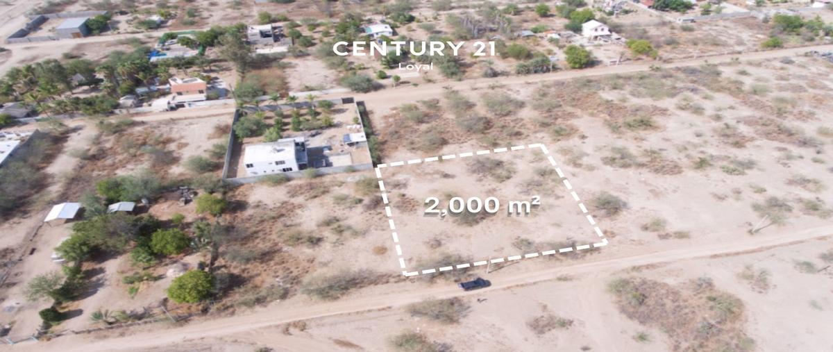 Foto de terreno habitacional en , el palmar i, la paz, baja california sur, 30410555 foto 01 Foto de terreno habitacional en venta en , el palmar i, la paz, baja california sur, 30410555 No. 01