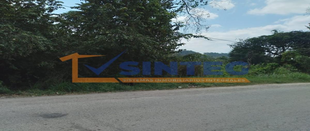 Foto de terreno habitacional en venta en  , el palmar kilómetro 40, papantla, veracruz de ignacio de la llave, 0 No. 04