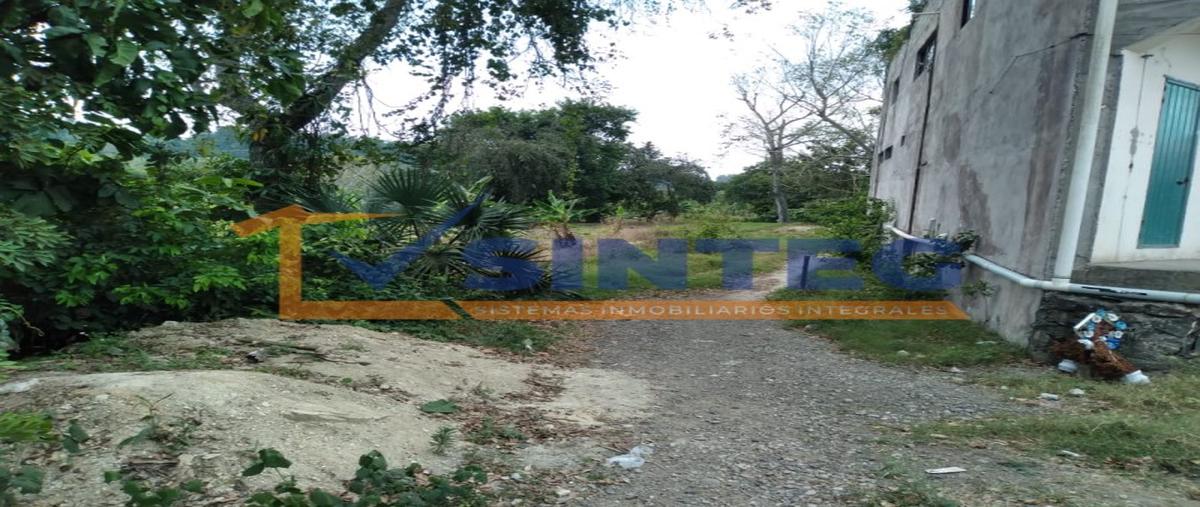 Foto de terreno habitacional en venta en  , el palmar kilómetro 40, papantla, veracruz de ignacio de la llave, 0 No. 05