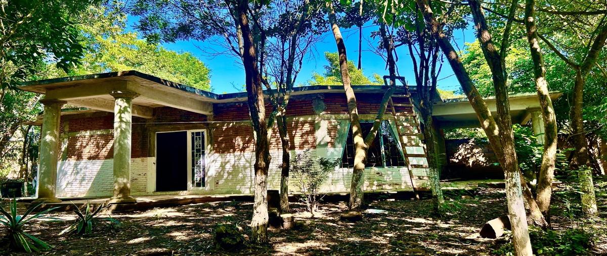 Foto de casa en venta en el palmar whi312226, el palmar, berriozábal, chiapas, 0 No. 04