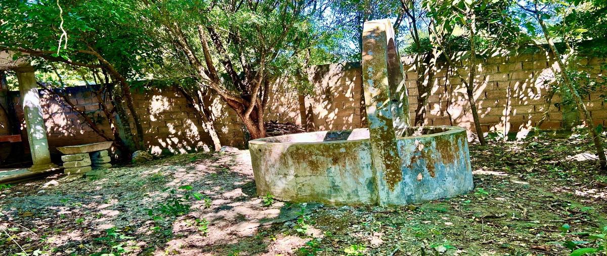Foto de casa en venta en el palmar whi312226, el palmar, berriozábal, chiapas, 0 No. 05