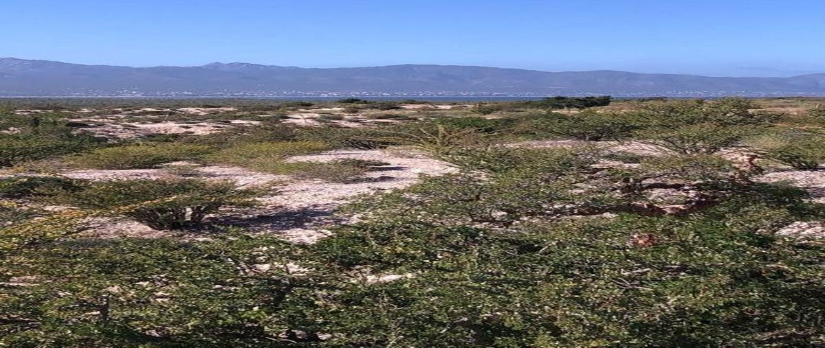 Foto de terreno habitacional en venta en  , el palmarito ii, la paz, baja california sur, 27509073 No. 03