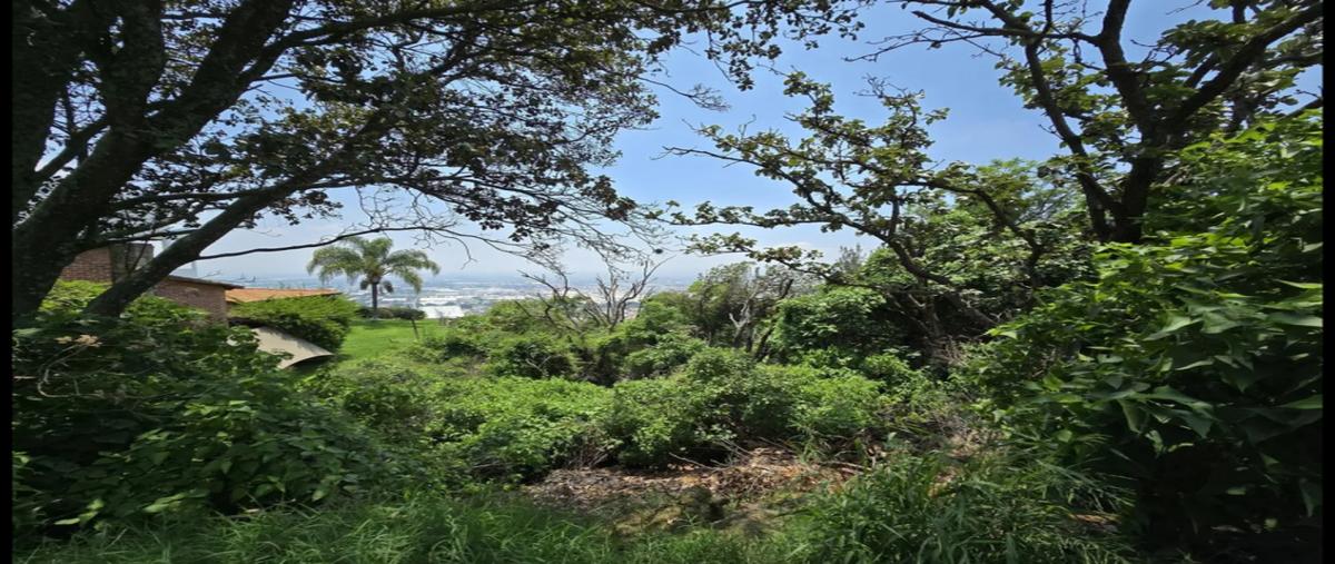 Foto de terreno industrial en venta en el palomar , el palomar, tlajomulco de zúñiga, jalisco, 30259741 No. 06
