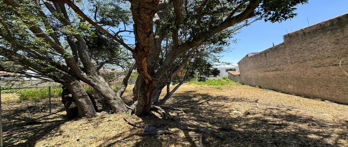 Foto de terreno habitacional en venta en  , el palomar, tlajomulco de zúñiga, jalisco, 0 No. 04