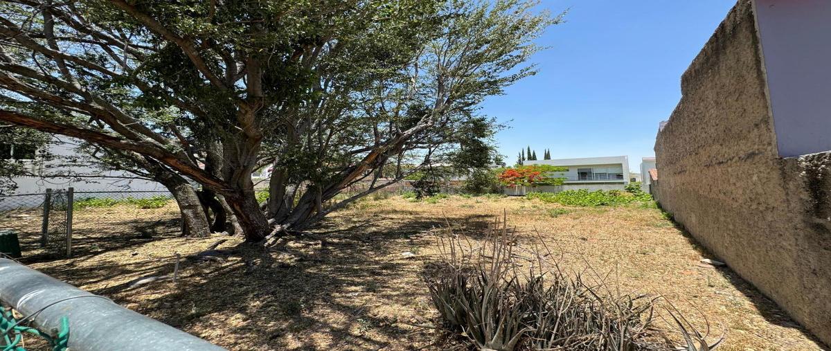 Foto de terreno habitacional en venta en  , el palomar, tlajomulco de zúñiga, jalisco, 0 No. 05