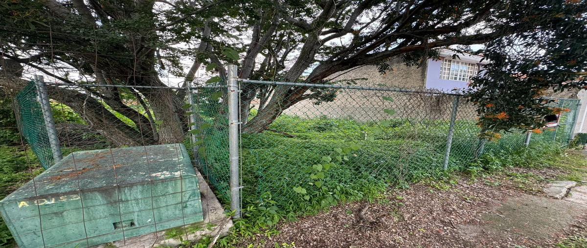 Foto de terreno habitacional en venta en  , el palomar, tlajomulco de zúñiga, jalisco, 0 No. 05