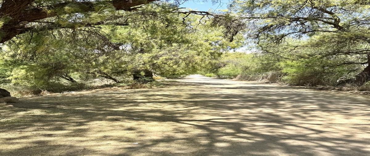 Foto de rancho en venta en el para&iacute;so sin n mero, alfajayucan, el marqués, querétaro, 0 No. 04
