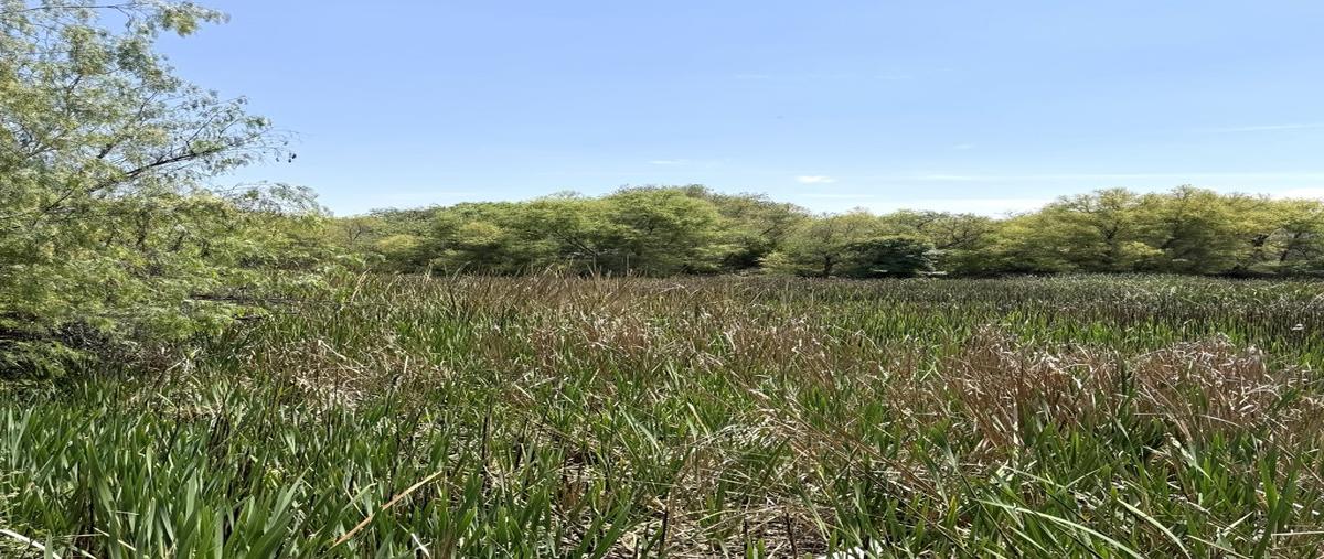 Foto de rancho en venta en el para&iacute;so sin n mero, alfajayucan, el marqués, querétaro, 0 No. 05