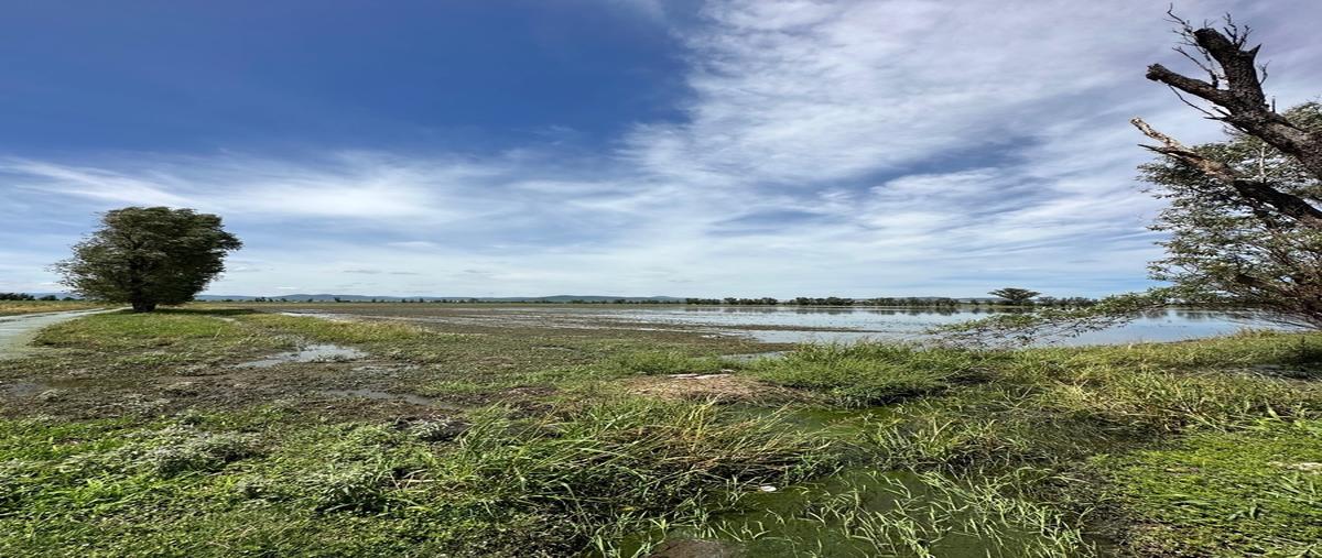 Foto de terreno industrial en el paraiso , ampliación del paraíso, el marqués, querétaro, 26887423 foto 05 Foto de terreno industrial en venta en el paraiso , ampliación del paraíso, el marqués, querétaro, 26887423 No. 05