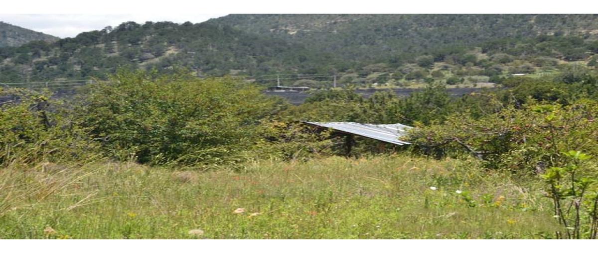 Foto de terreno habitacional en venta en  , el paraíso, arteaga, coahuila de zaragoza, 0 No. 05