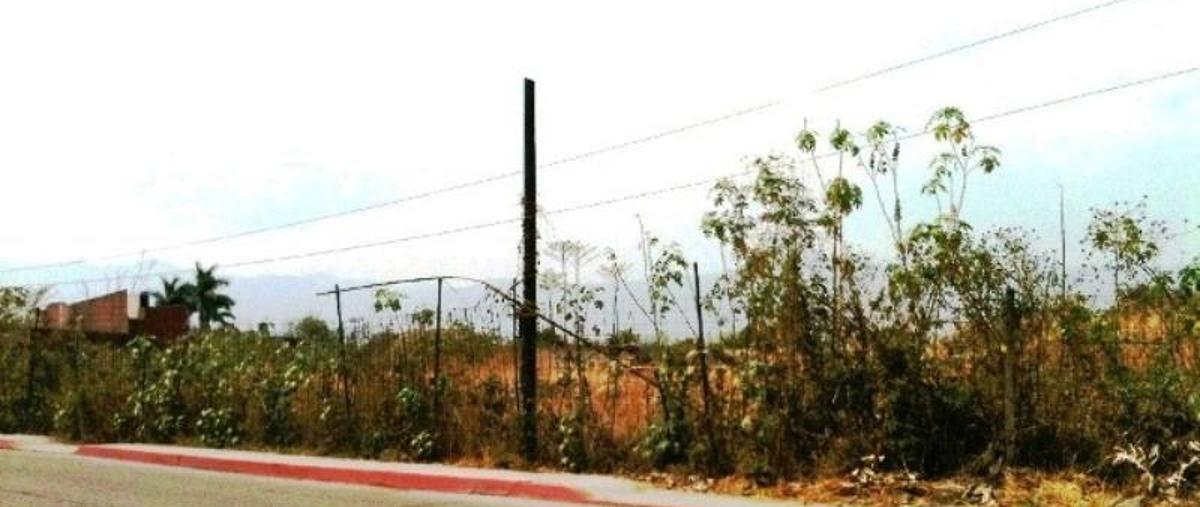 Foto de terreno comercial en venta en  , el paraíso, jiutepec, morelos, 1221641 No. 02