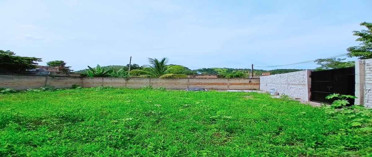 Foto de terreno habitacional en renta en  , el paraíso, tepic, nayarit, 0 No. 04