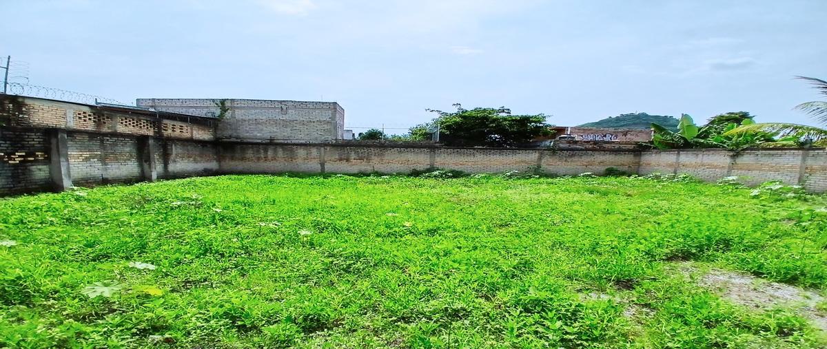 Foto de terreno habitacional en renta en  , el paraíso, tepic, nayarit, 0 No. 05