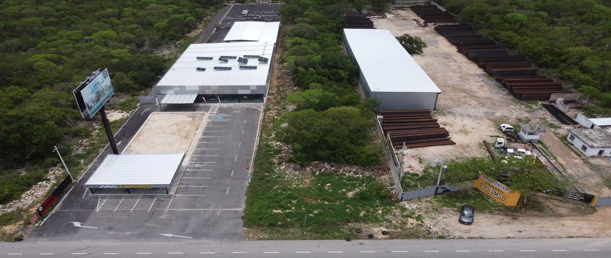 Foto de terreno habitacional en venta en el paraíso-san ignacio , tamanché, mérida, yucatán, 30027705 No. 03