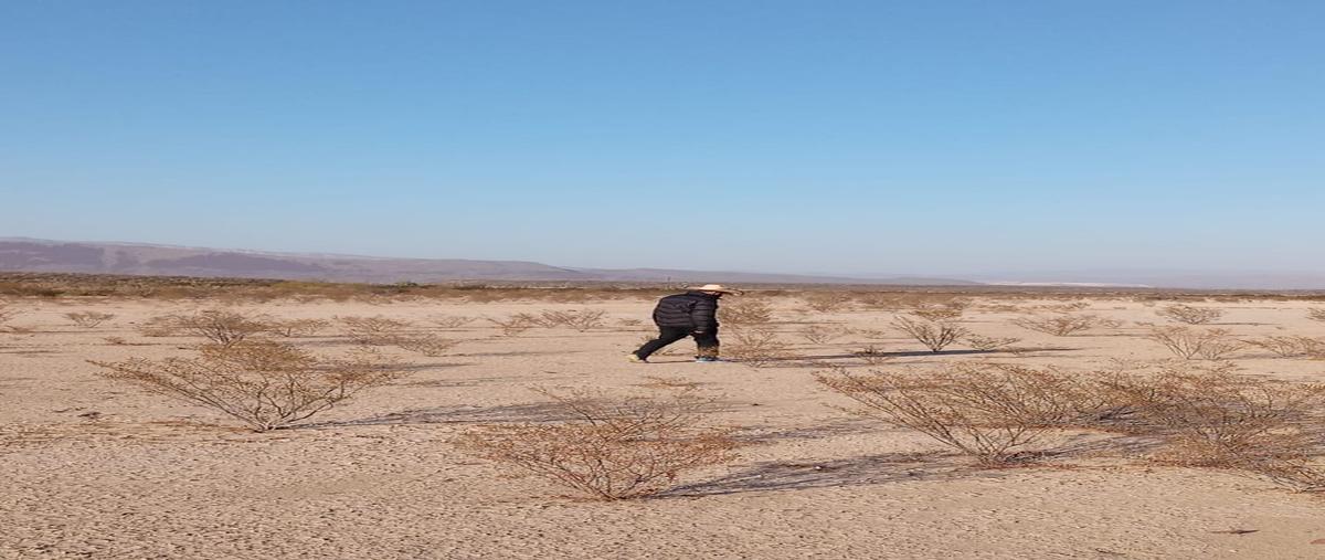 Foto de terreno habitacional en venta en  , el paredón, ramos arizpe, coahuila de zaragoza, 26759375 No. 03