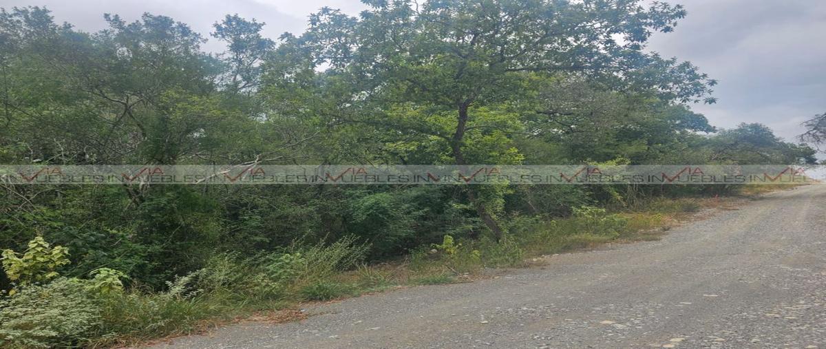 Foto de terreno habitacional en venta en el pastor , el pastor, montemorelos, nuevo león, 27033066 No. 03