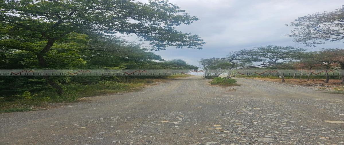 Foto de terreno habitacional en venta en el pastor , el pastor, montemorelos, nuevo león, 27033066 No. 04