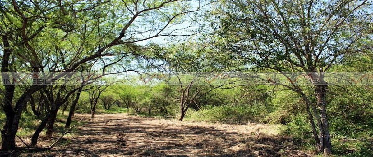 Foto de terreno habitacional en el pastor , el pastor, montemorelos, nuevo león, 0 foto 03 Foto de terreno habitacional en venta en el pastor , el pastor, montemorelos, nuevo león, 0 No. 03