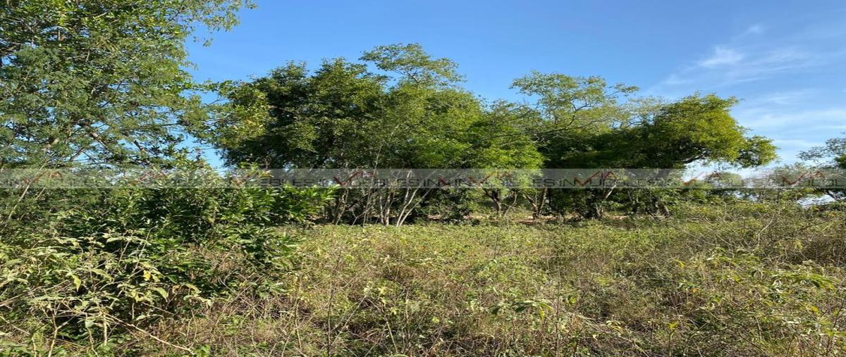Foto de terreno habitacional en venta en el pastor , el pastor, montemorelos, nuevo león, 0 No. 03